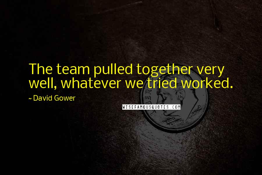 David Gower Quotes: The team pulled together very well, whatever we tried worked.