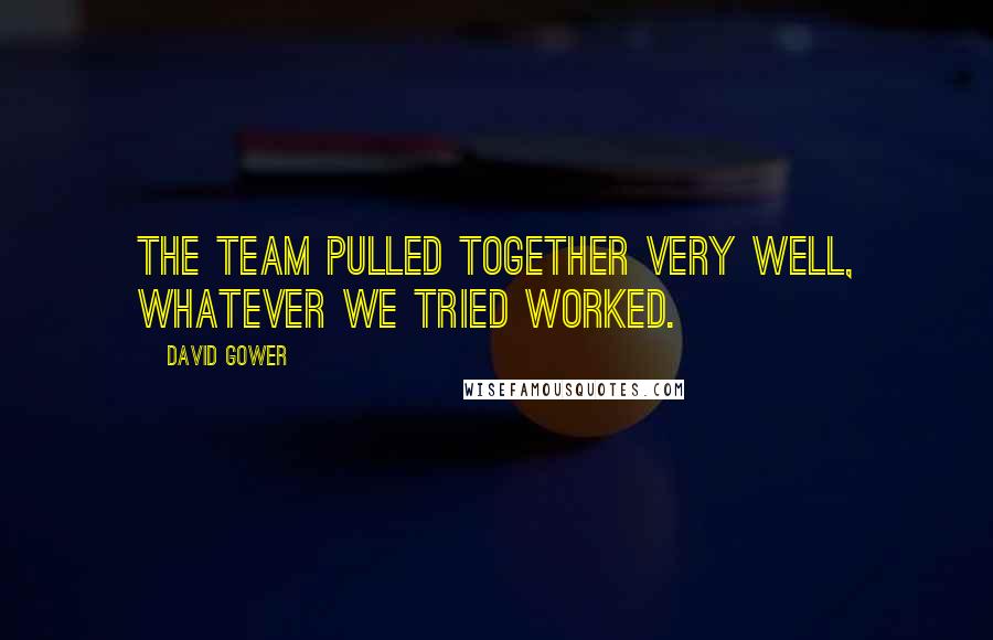 David Gower Quotes: The team pulled together very well, whatever we tried worked.