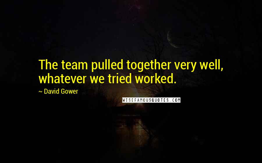 David Gower Quotes: The team pulled together very well, whatever we tried worked.