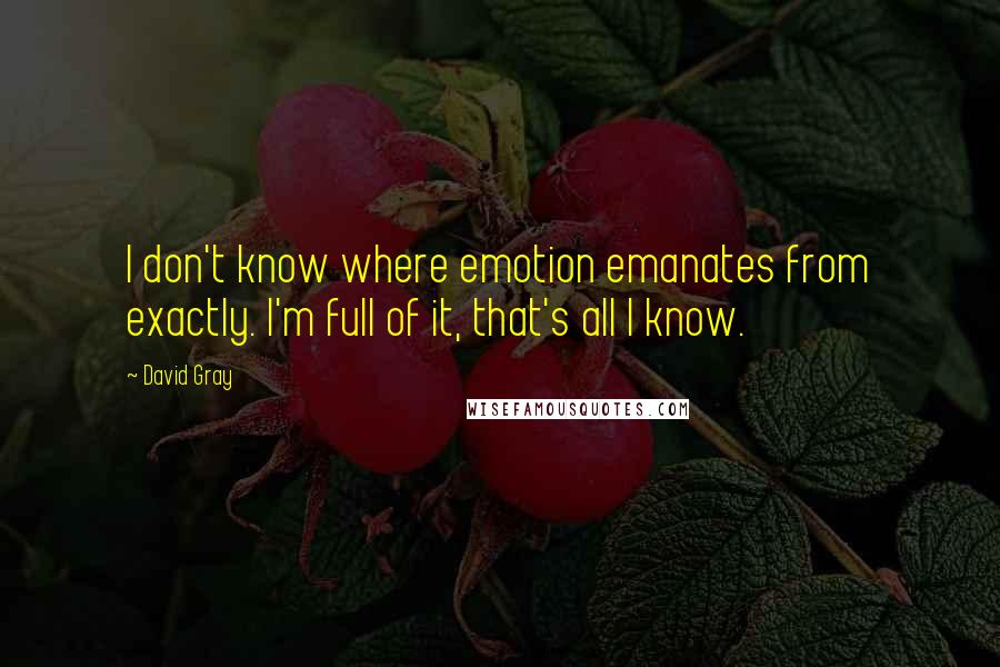 David Gray Quotes: I don't know where emotion emanates from exactly. I'm full of it, that's all I know.