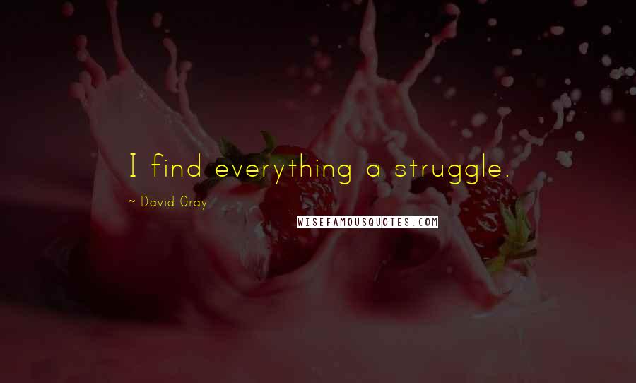 David Gray Quotes: I find everything a struggle.