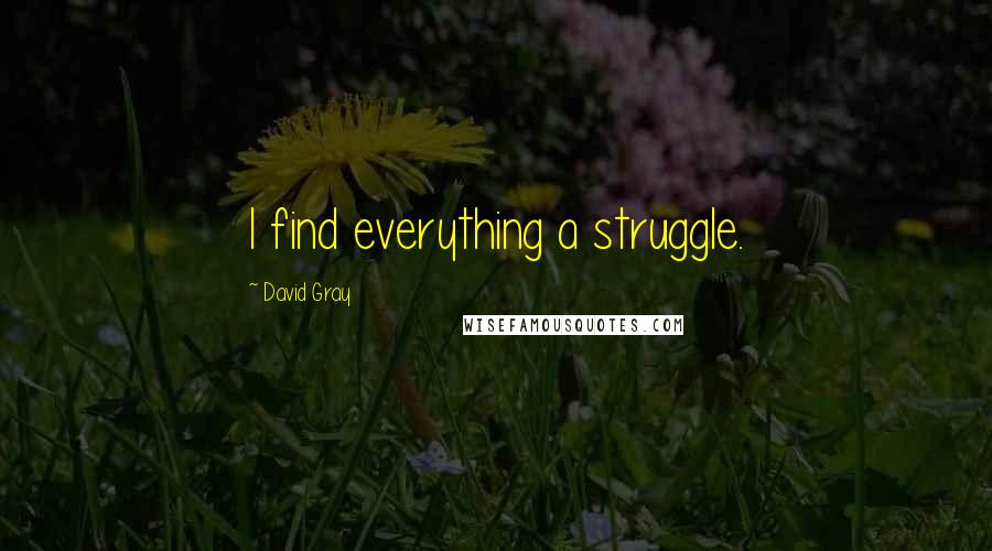 David Gray Quotes: I find everything a struggle.