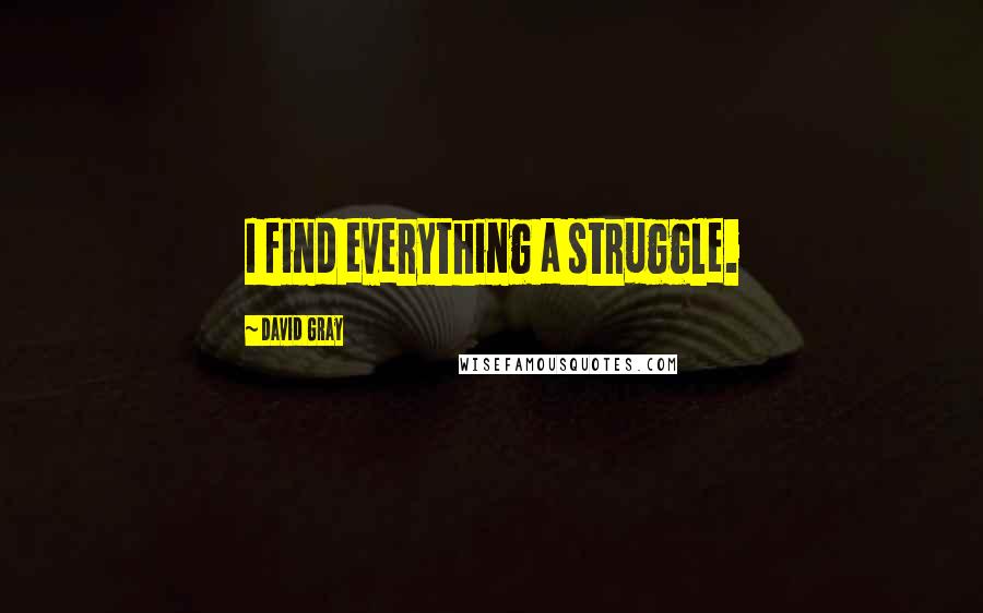 David Gray Quotes: I find everything a struggle.