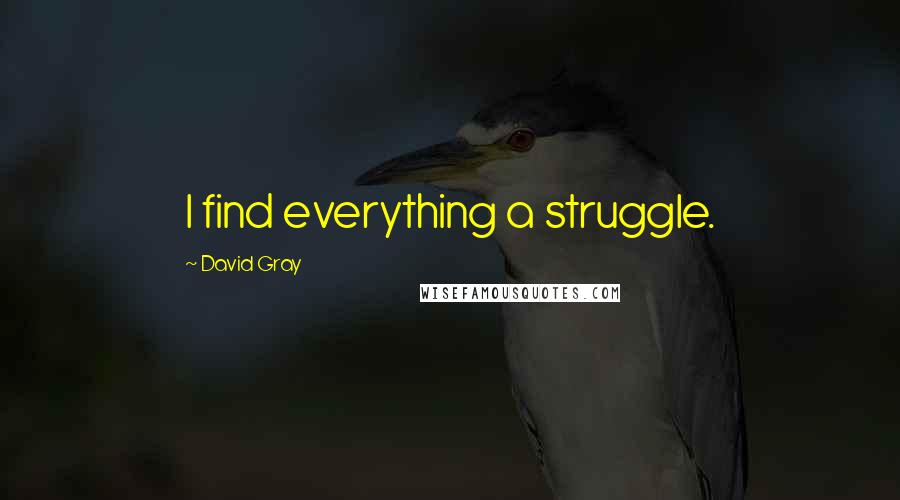 David Gray Quotes: I find everything a struggle.