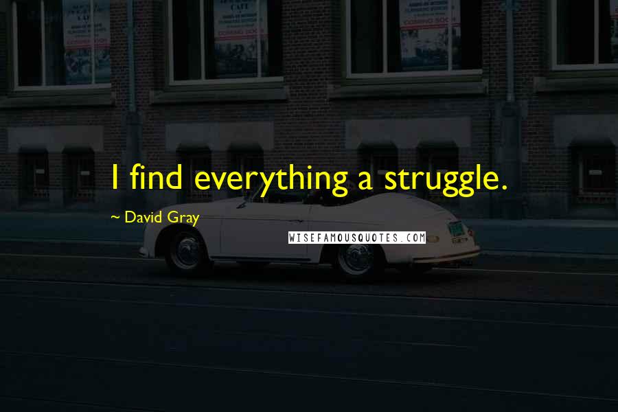 David Gray Quotes: I find everything a struggle.