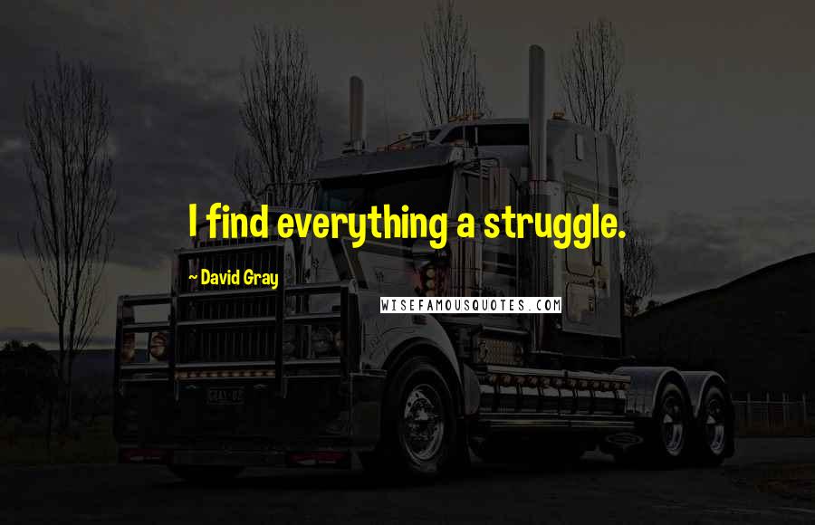 David Gray Quotes: I find everything a struggle.