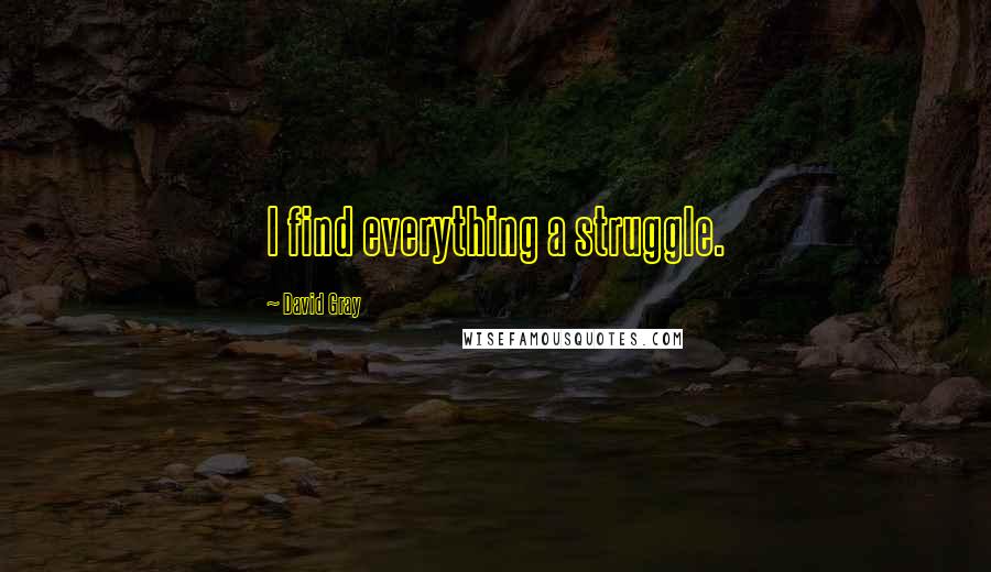 David Gray Quotes: I find everything a struggle.