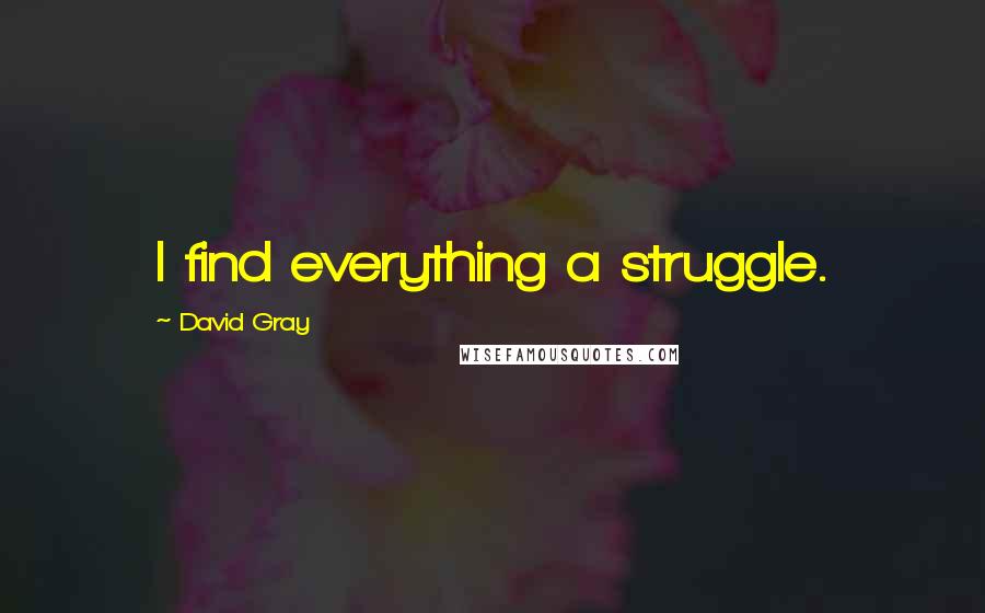 David Gray Quotes: I find everything a struggle.