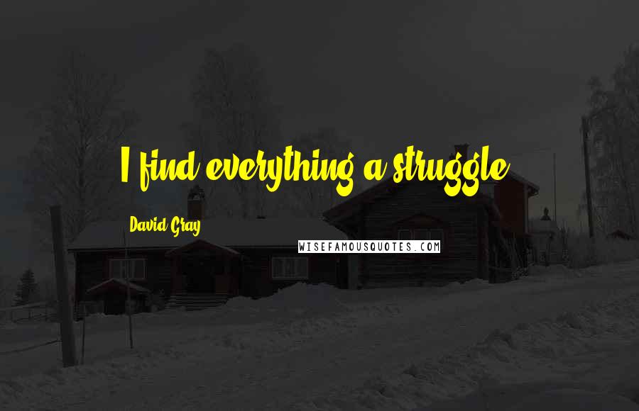 David Gray Quotes: I find everything a struggle.