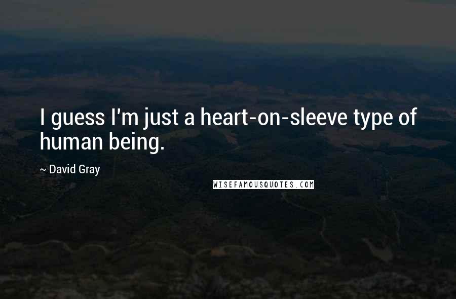 David Gray Quotes: I guess I'm just a heart-on-sleeve type of human being.