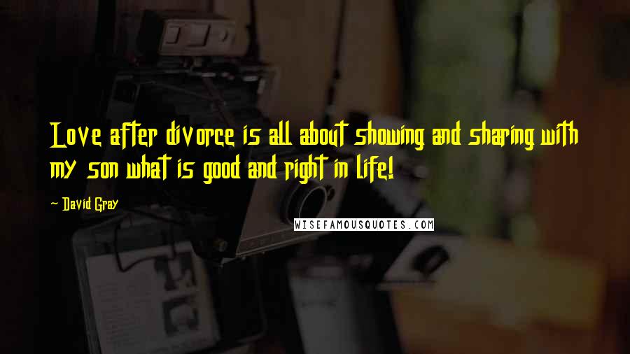 David Gray Quotes: Love after divorce is all about showing and sharing with my son what is good and right in life!