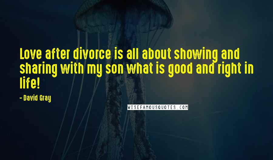 David Gray Quotes: Love after divorce is all about showing and sharing with my son what is good and right in life!