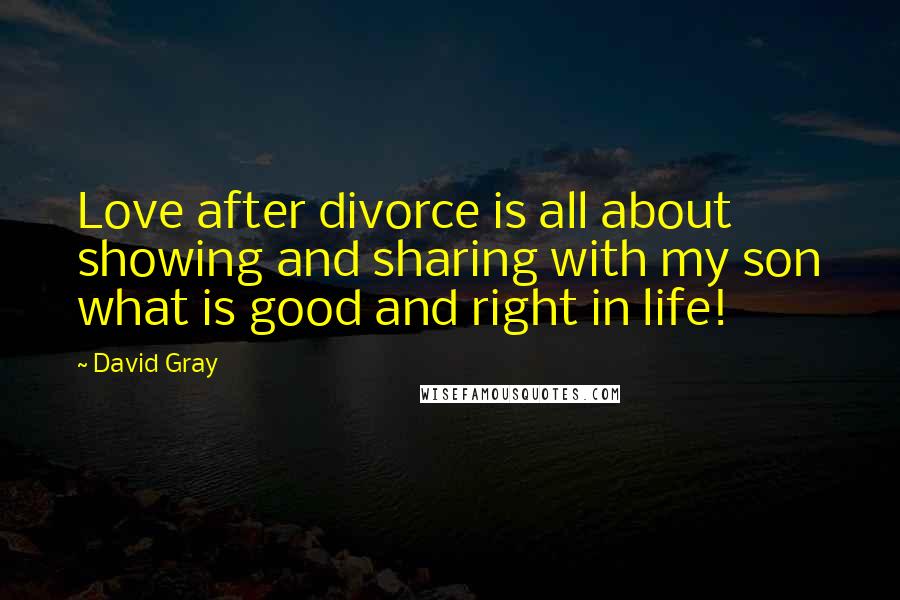 David Gray Quotes: Love after divorce is all about showing and sharing with my son what is good and right in life!