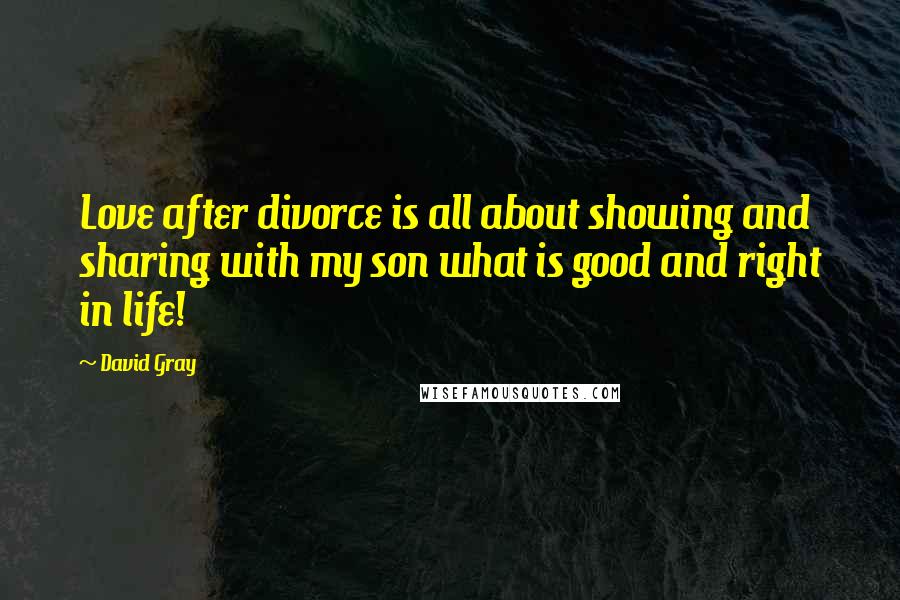 David Gray Quotes: Love after divorce is all about showing and sharing with my son what is good and right in life!