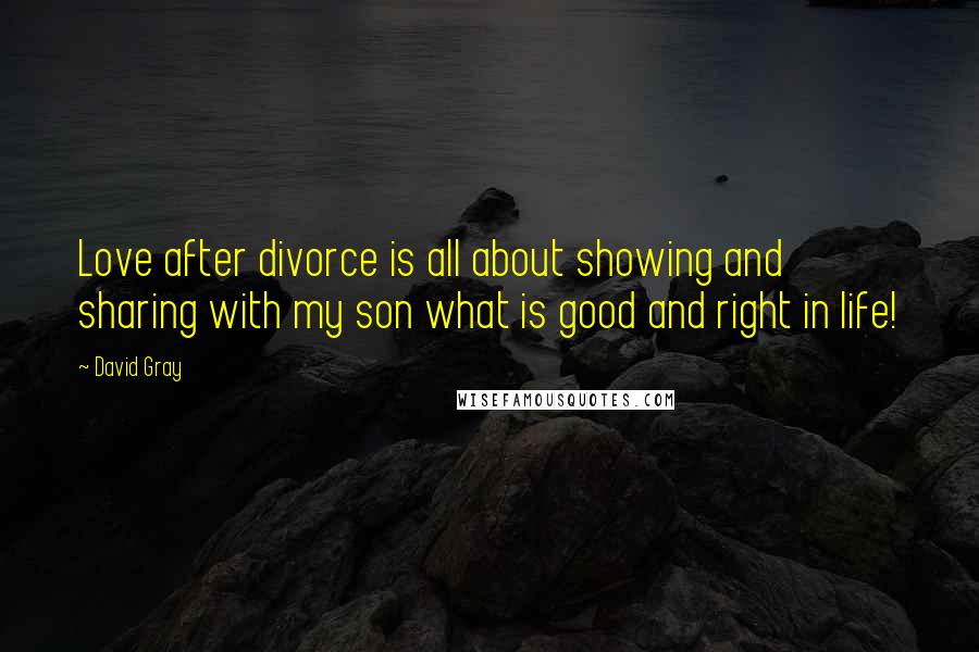 David Gray Quotes: Love after divorce is all about showing and sharing with my son what is good and right in life!