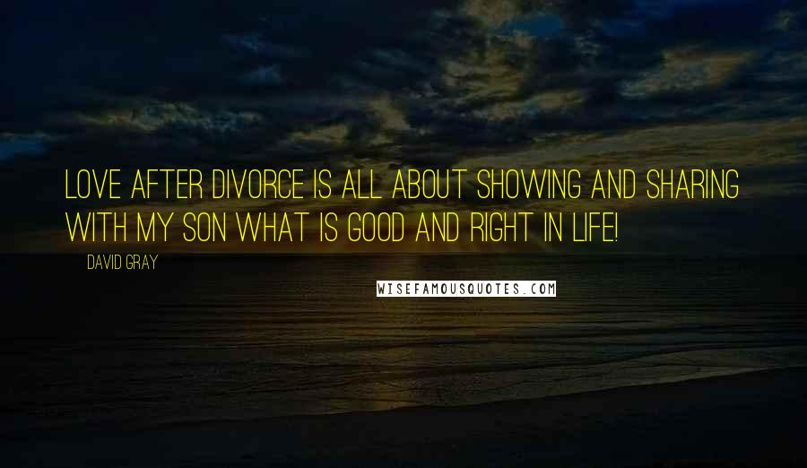 David Gray Quotes: Love after divorce is all about showing and sharing with my son what is good and right in life!