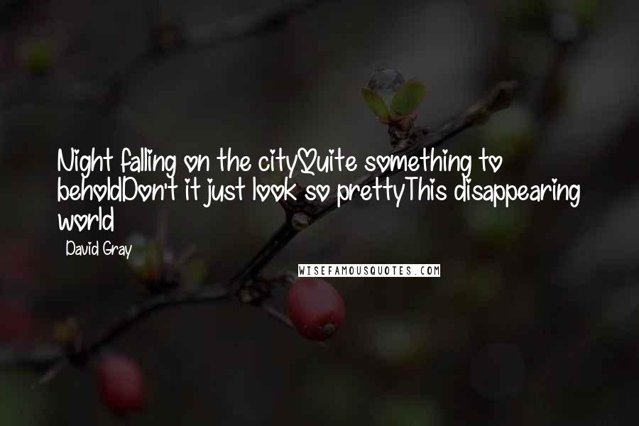 David Gray Quotes: Night falling on the cityQuite something to beholdDon't it just look so prettyThis disappearing world
