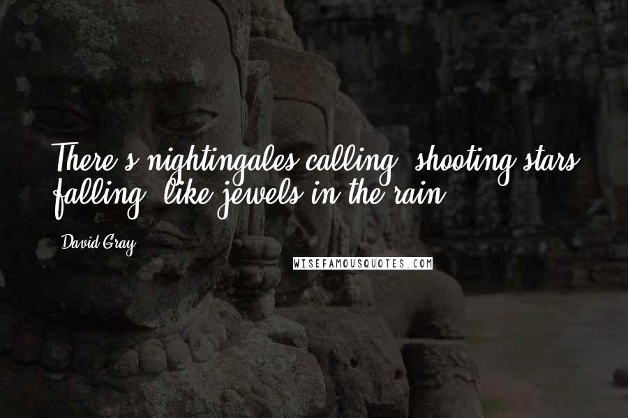 David Gray Quotes: There's nightingales calling, shooting stars falling, like jewels in the rain.