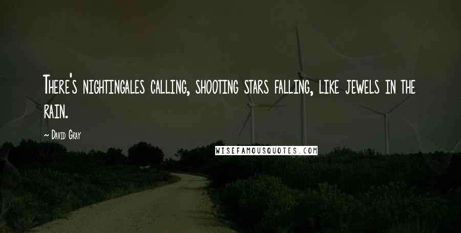 David Gray Quotes: There's nightingales calling, shooting stars falling, like jewels in the rain.