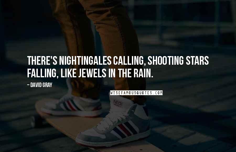 David Gray Quotes: There's nightingales calling, shooting stars falling, like jewels in the rain.