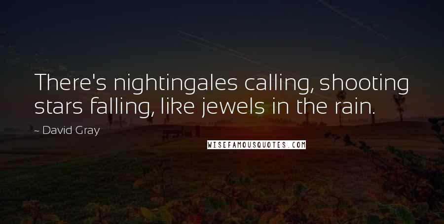 David Gray Quotes: There's nightingales calling, shooting stars falling, like jewels in the rain.