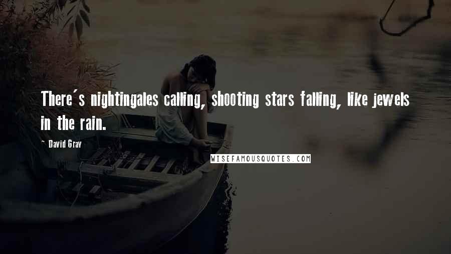 David Gray Quotes: There's nightingales calling, shooting stars falling, like jewels in the rain.