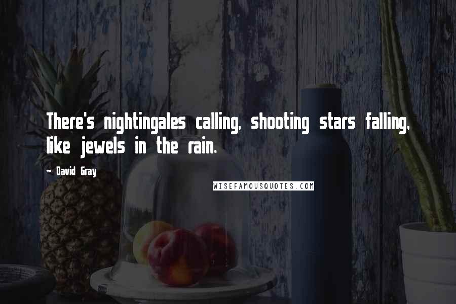 David Gray Quotes: There's nightingales calling, shooting stars falling, like jewels in the rain.