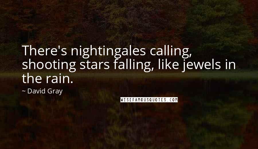 David Gray Quotes: There's nightingales calling, shooting stars falling, like jewels in the rain.