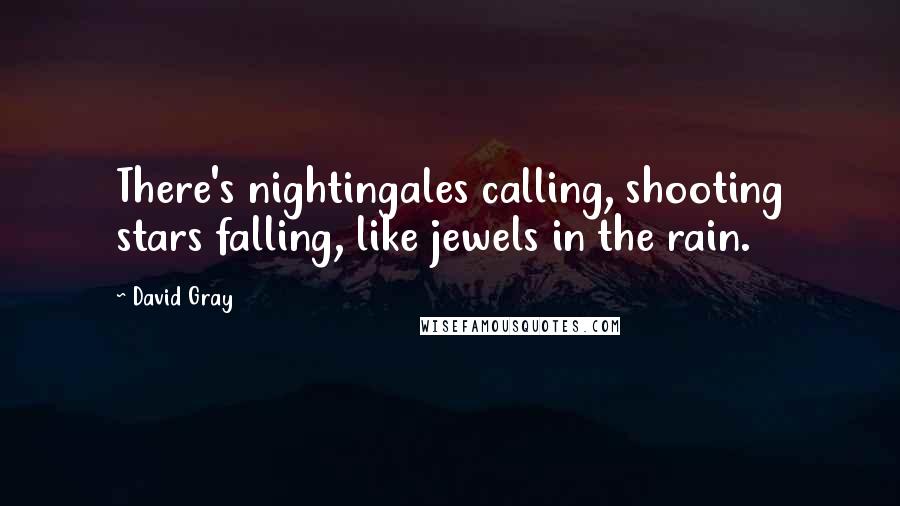 David Gray Quotes: There's nightingales calling, shooting stars falling, like jewels in the rain.