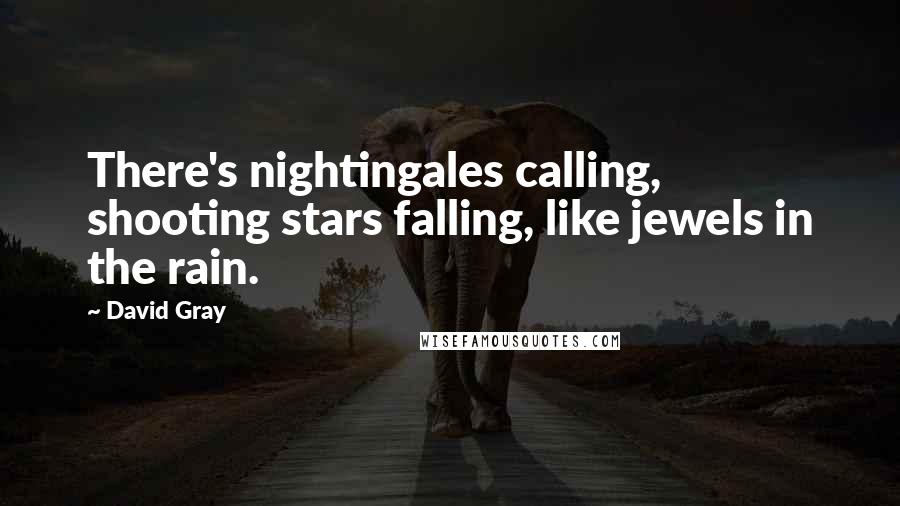 David Gray Quotes: There's nightingales calling, shooting stars falling, like jewels in the rain.