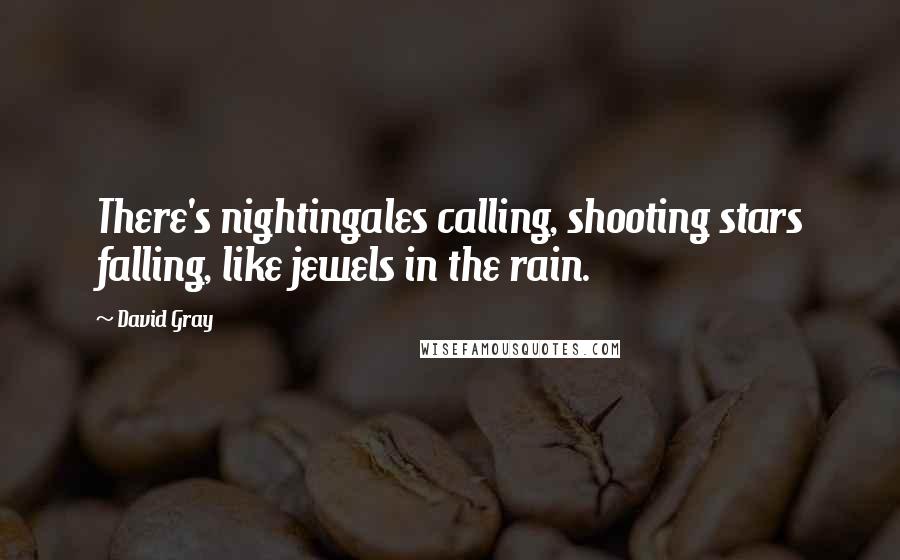 David Gray Quotes: There's nightingales calling, shooting stars falling, like jewels in the rain.