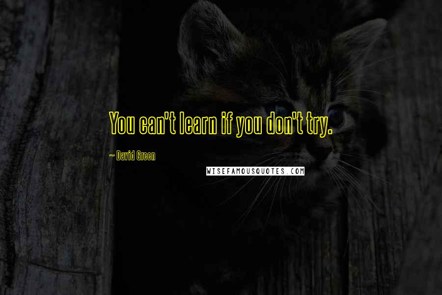 David Green Quotes: You can't learn if you don't try.