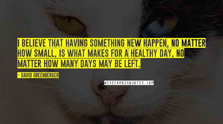 David Greenberger Quotes: I believe that having something new happen, no matter how small, is what makes for a healthy day, no matter how many days may be left.