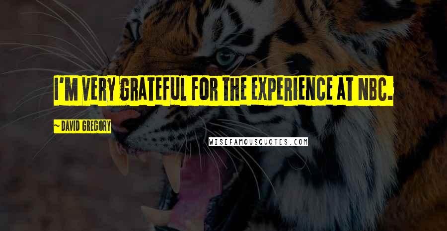 David Gregory Quotes: I'm very grateful for the experience at NBC.
