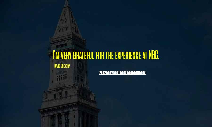 David Gregory Quotes: I'm very grateful for the experience at NBC.