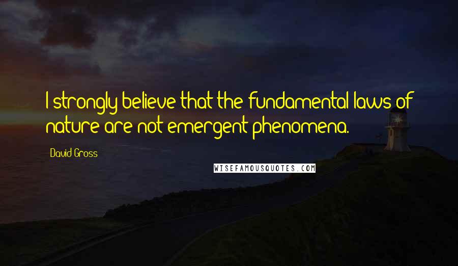 David Gross Quotes: I strongly believe that the fundamental laws of nature are not emergent phenomena.