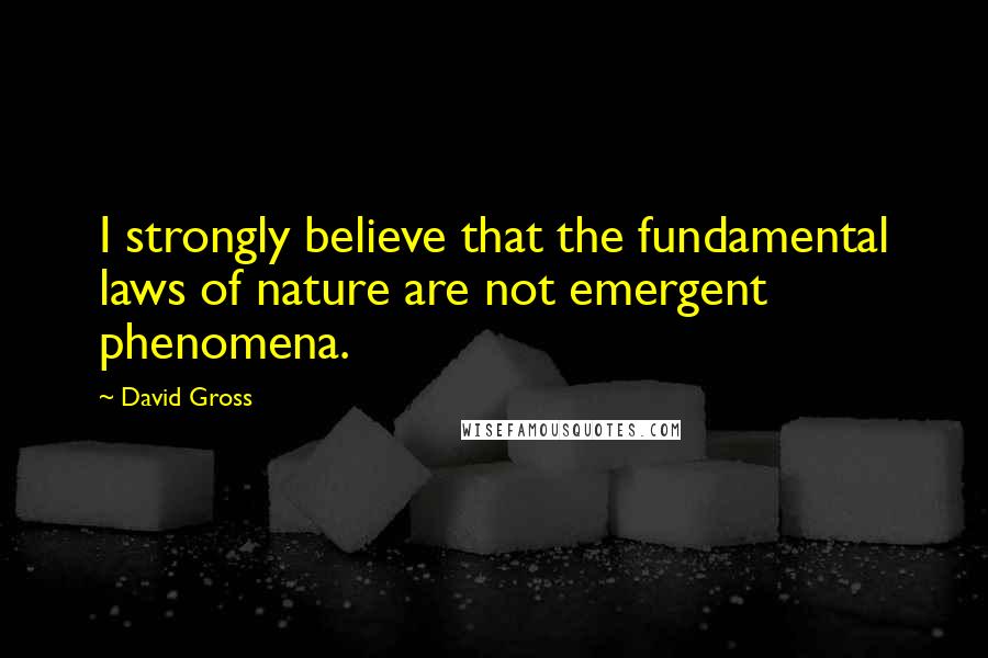 David Gross Quotes: I strongly believe that the fundamental laws of nature are not emergent phenomena.