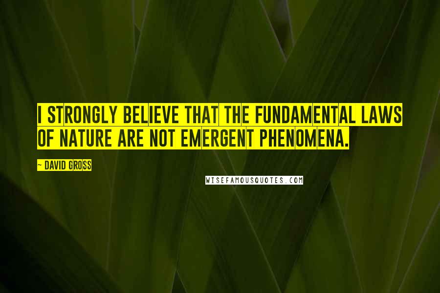 David Gross Quotes: I strongly believe that the fundamental laws of nature are not emergent phenomena.