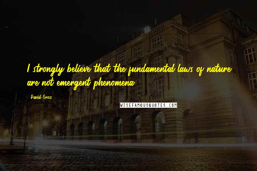 David Gross Quotes: I strongly believe that the fundamental laws of nature are not emergent phenomena.