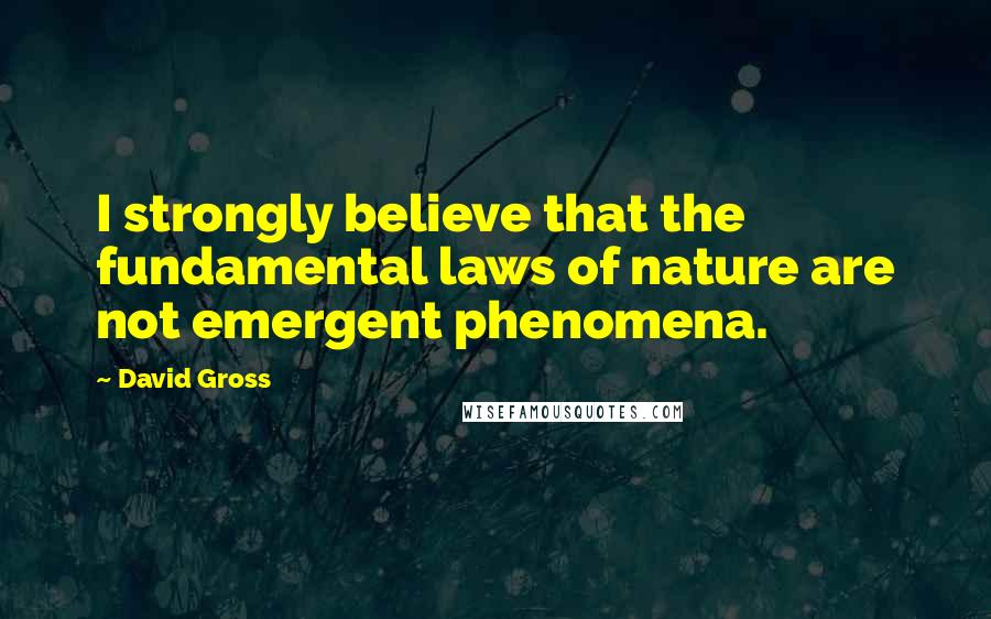 David Gross Quotes: I strongly believe that the fundamental laws of nature are not emergent phenomena.