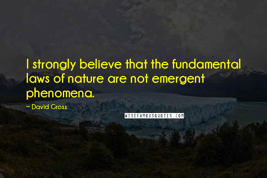 David Gross Quotes: I strongly believe that the fundamental laws of nature are not emergent phenomena.