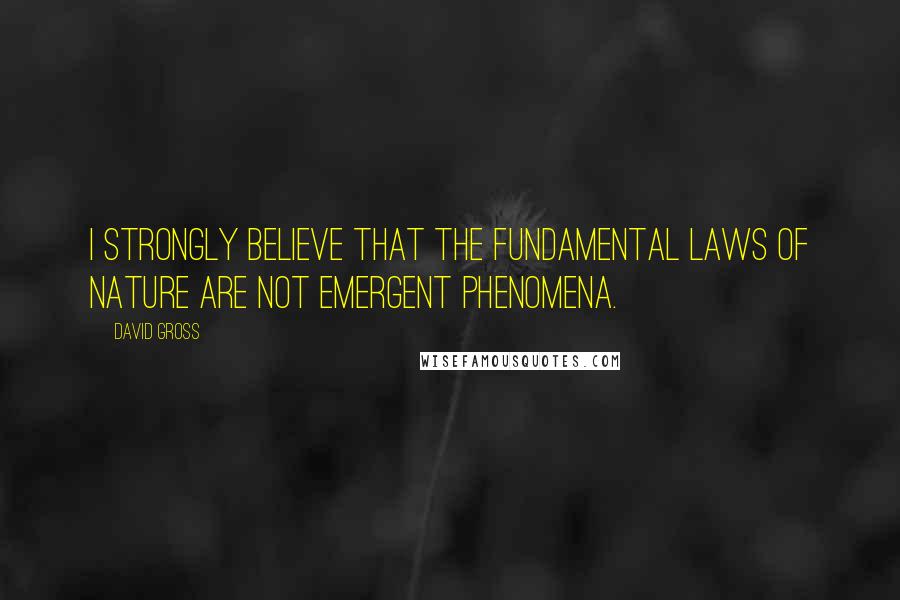 David Gross Quotes: I strongly believe that the fundamental laws of nature are not emergent phenomena.