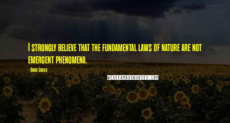 David Gross Quotes: I strongly believe that the fundamental laws of nature are not emergent phenomena.