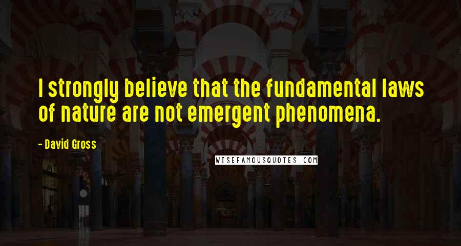 David Gross Quotes: I strongly believe that the fundamental laws of nature are not emergent phenomena.