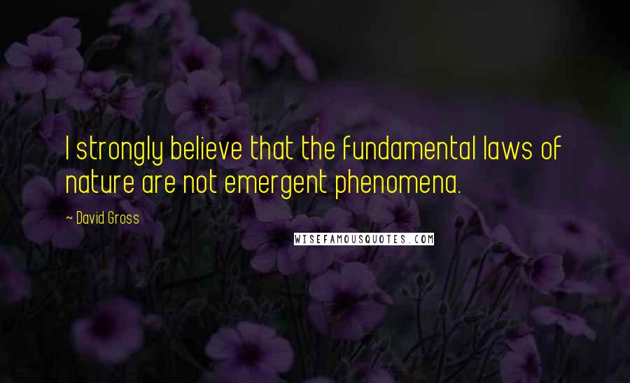 David Gross Quotes: I strongly believe that the fundamental laws of nature are not emergent phenomena.