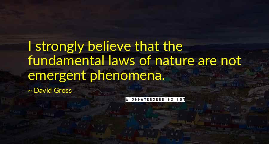 David Gross Quotes: I strongly believe that the fundamental laws of nature are not emergent phenomena.