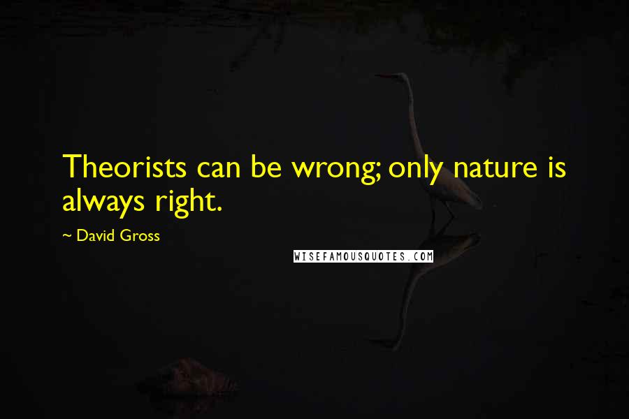 David Gross Quotes: Theorists can be wrong; only nature is always right.