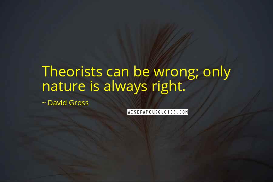 David Gross Quotes: Theorists can be wrong; only nature is always right.