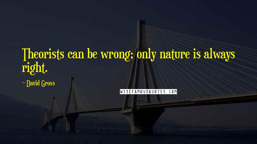 David Gross Quotes: Theorists can be wrong; only nature is always right.