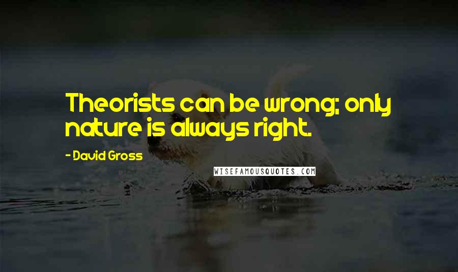 David Gross Quotes: Theorists can be wrong; only nature is always right.